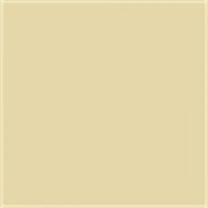 Paint and Paper Library Suede I Paint